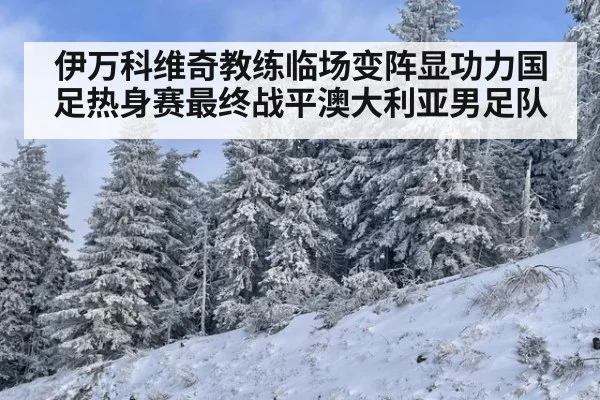伊万科维奇教练临场变阵显功力国足热身赛最终战平澳大利亚男足队